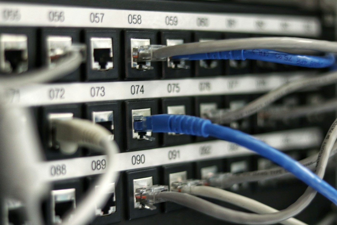 Echtes Patchpanel mit angeschlossenen blauen und grauen Netzwerkkabeln